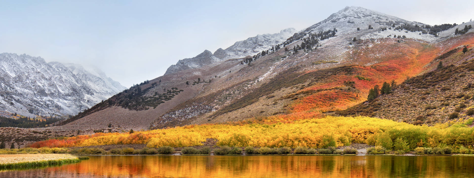 Dr. Max Riemann Zahnarzt in Nürnberg
