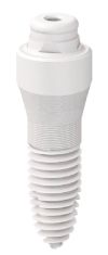 Kunststoffe-und-Mikroplastik-01